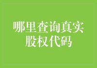 股权代码查询：如何避开投资的雷区，找到躺赢的宝藏？