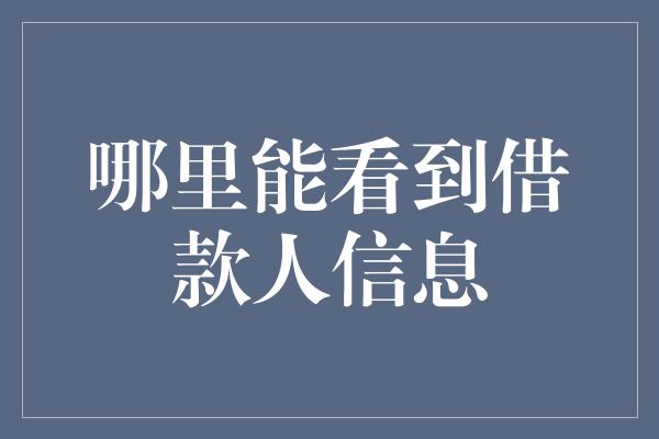 哪里能看到借款人信息