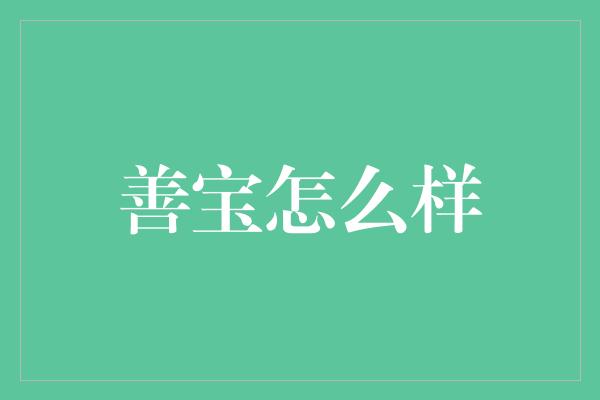 善宝怎么样