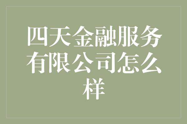 四天金融服务有限公司怎么样