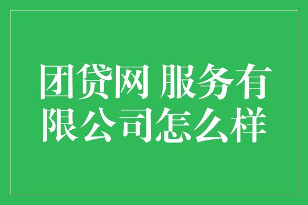 团贷网 服务有限公司怎么样