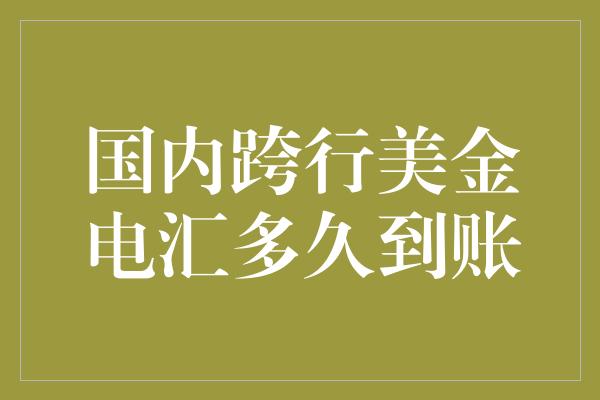 国内跨行美金电汇多久到账