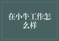 在小牛金融工作怎么样：一份深入的员工体验报告