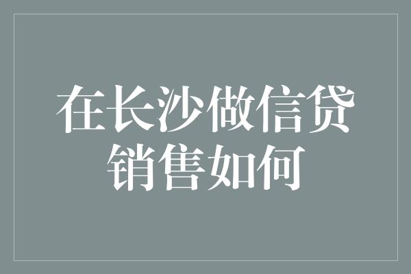 在长沙做信贷销售如何