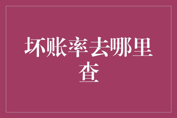 坏账率去哪里查