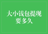 大小钱包提现还能飞一般的速度吗？——揭秘提现的奥秘