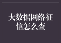 如何利用大数据进行网络征信查询？