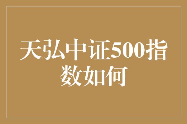 天弘中证500指数如何