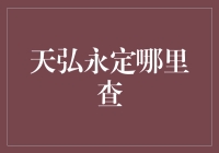 天弘永定究竟在哪里查？难道是在云端上吗？