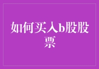 如何以买个够心态买入B股股票：一份新手指南