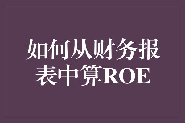 如何从财务报表中算ROE