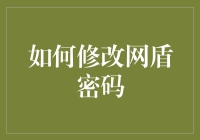 如何修改您的网盾密码？获取安全与便利的双重保障