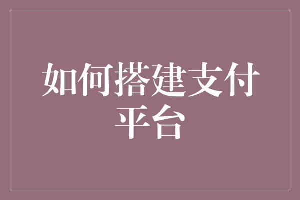 如何搭建支付平台