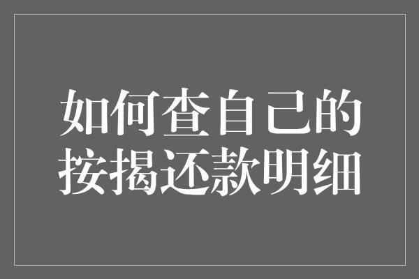 如何查自己的按揭还款明细