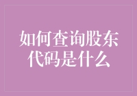 探索股东代码查询：解锁资本市场的秘密钥匙