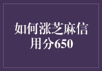 如何有效提升芝麻信用分达到650以上：策略与实践