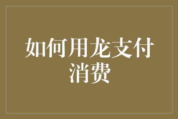 如何用龙支付消费