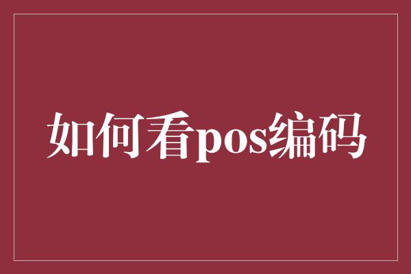 如何看pos编码