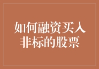 如何利用融资渠道购买非标股票，构建个人投资策略