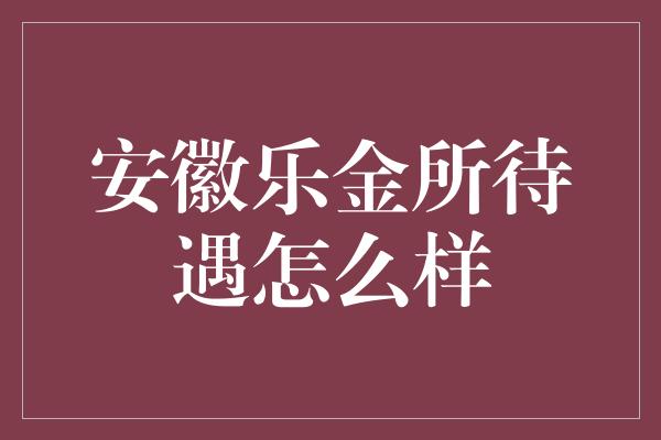 安徽乐金所待遇怎么样