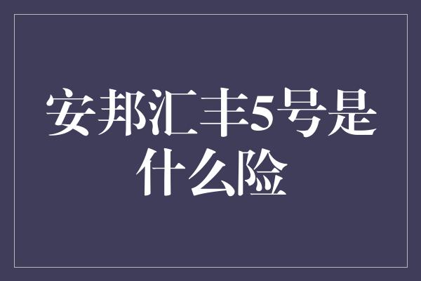 安邦汇丰5号是什么险