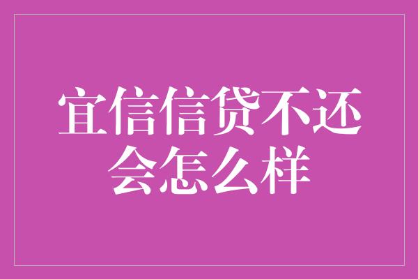 宜信信贷不还会怎么样