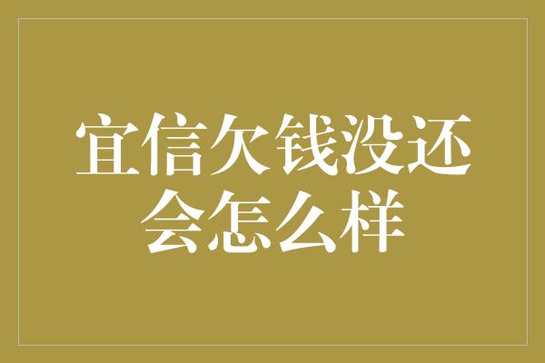 宜信欠钱没还会怎么样