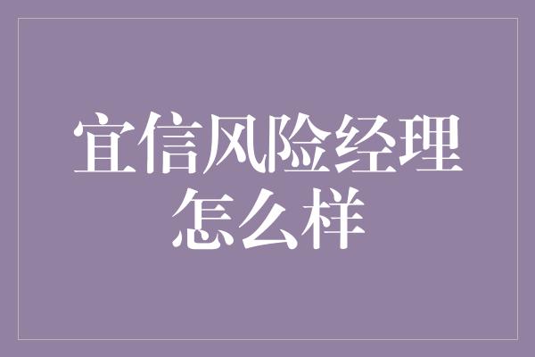 宜信风险经理怎么样