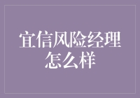 宜信风险经理：值得信赖的风险管理专家吗？