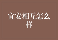 宜安相互：传统保险行业的创新者与守护者