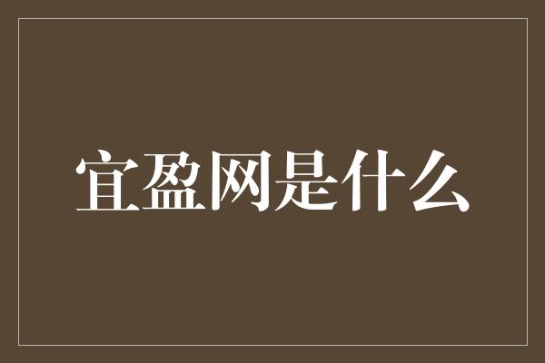 宜盈网是什么