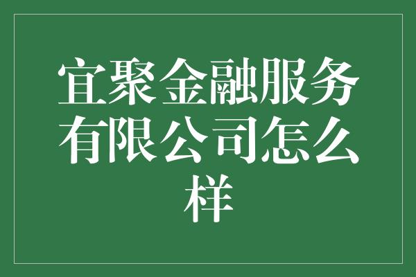 宜聚金融服务有限公司怎么样