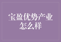 宝盈优势产业基金：策略与业绩并行的典范