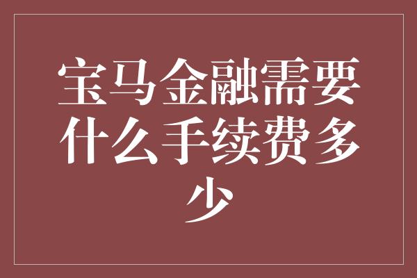 宝马金融需要什么手续费多少