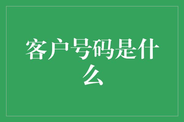 客户号码是什么