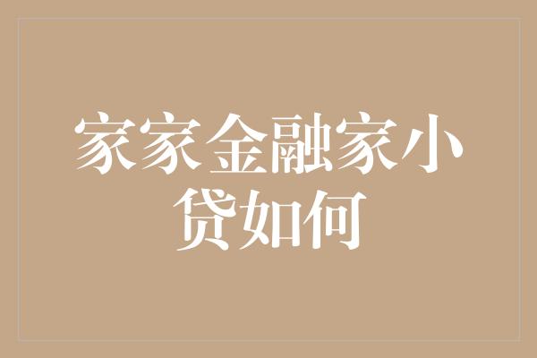 家家金融家小贷如何