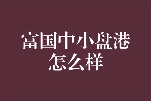 富国中小盘港怎么样