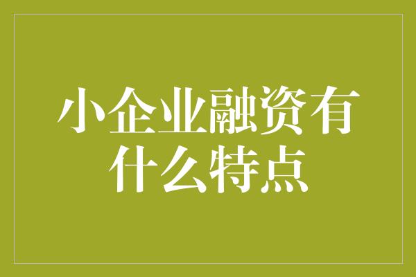 小企业融资有什么特点