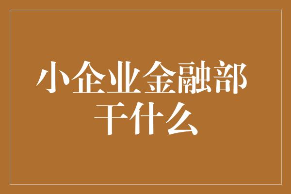 小企业金融部 干什么