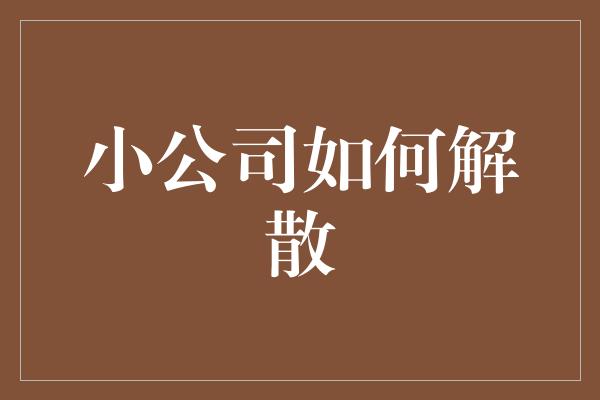 小公司如何解散