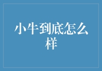 从多维度解析小牛：综合性能如何？