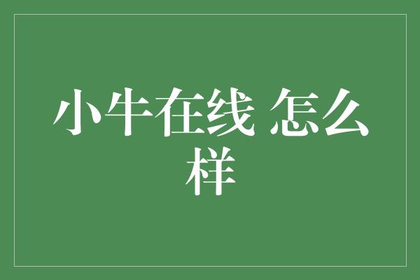 小牛在线 怎么样