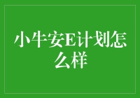 小牛安E计划：汽车后市场数字化转型的创新实践