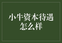 小牛资本待遇怎么样？揭秘牛老板的牛待遇