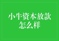 小牛资本放贷：速度快还是慢？