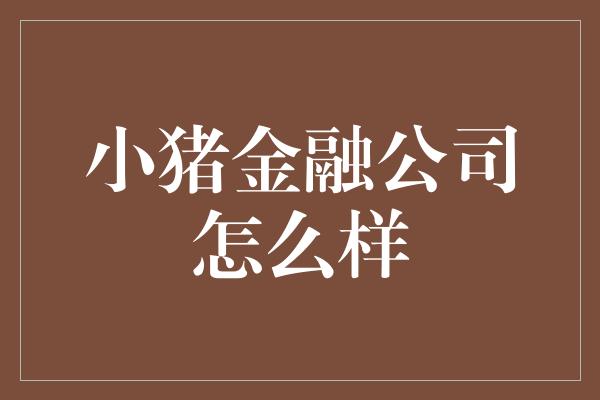 小猪金融公司怎么样