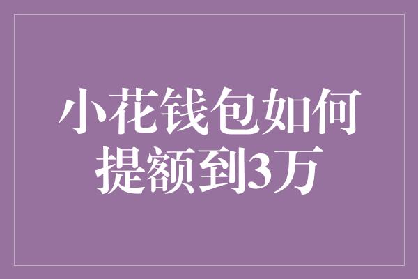 小花钱包如何提额到3万