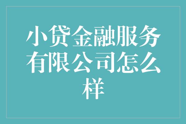 小贷金融服务有限公司怎么样