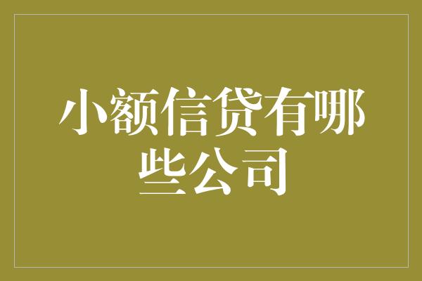 小额信贷有哪些公司