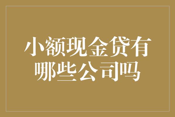 小额现金贷有哪些公司吗